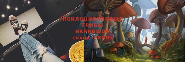 ПСИЛОЦИБИНОВЫЕ ГРИБЫ Россошь