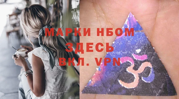 дмт Рославль