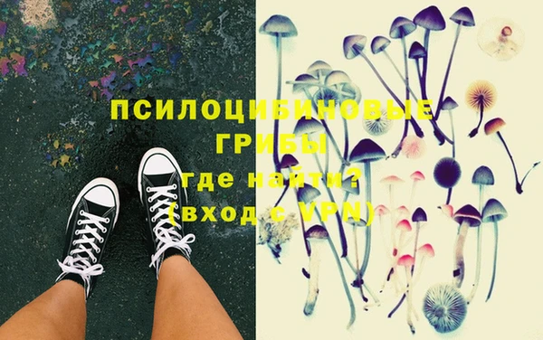 дмт Рославль